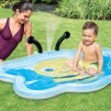 MINI PISCINA FÂNTANŢĂ DE ALBINE