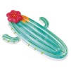 MATELAS CACTUS