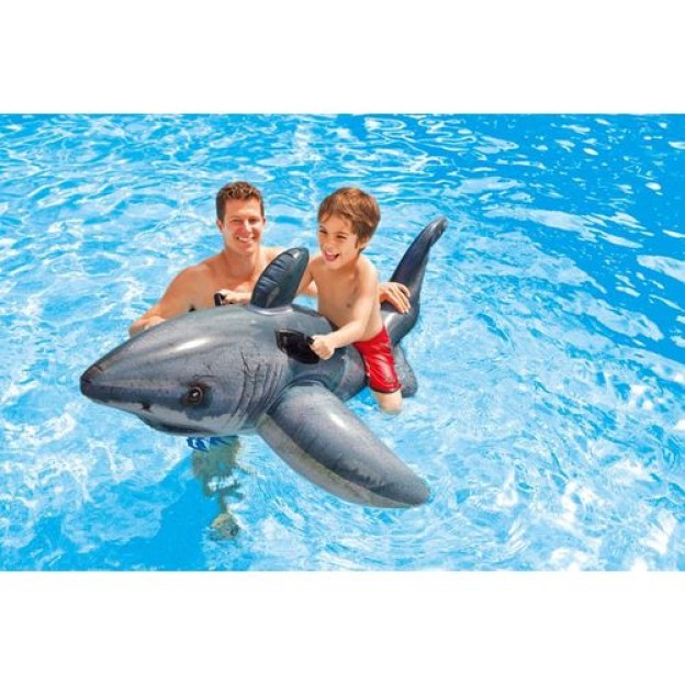 MARE RECHIN ALB RIDE ON
