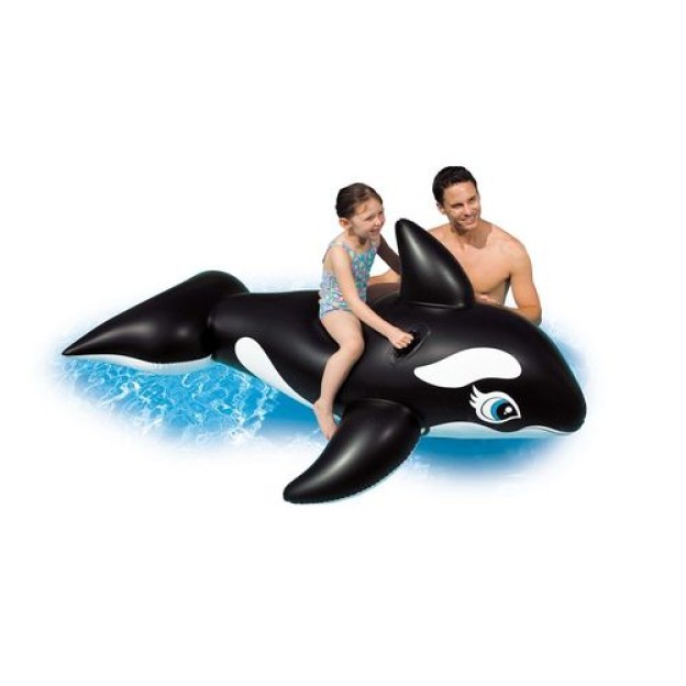 BIG WHALE RIDE ON