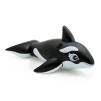 BIG WHALE RIDE ON
