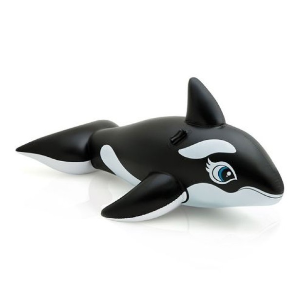 BIG WHALE RIDE ON