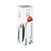 Vaza cilindrica din sticla FLORA H26
