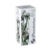 Vaza curbata din sticla FLORA H26
