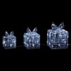 Cadouri cu lumini LED GIFT X3