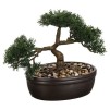 Цветок BONSAI