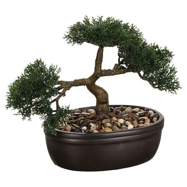 Цветок BONSAI