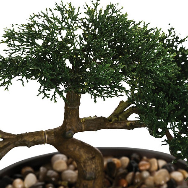 Цветок BONSAI