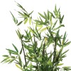 Plantă artificială BAMBOU H70