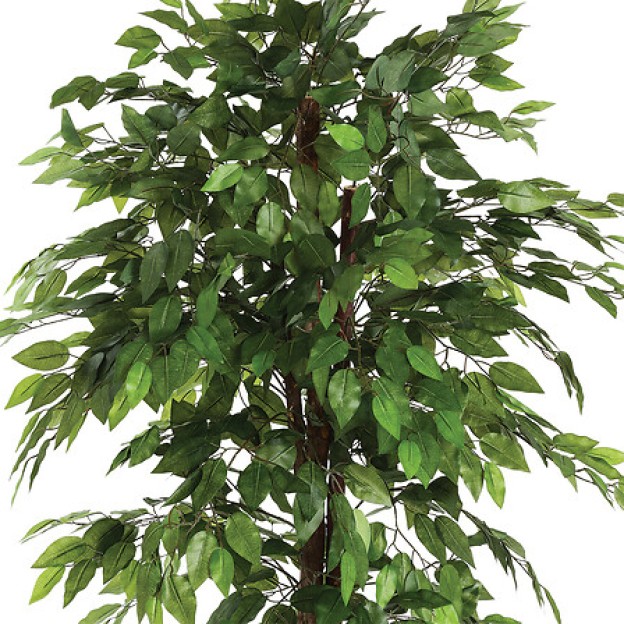 Цветок искусственный FICUS