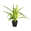 Plantă artificială H30