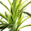Plantă artificială H30