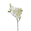 Ветка декоративная MAGNOLIA H83