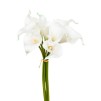 Букет ARUM BLANC H36