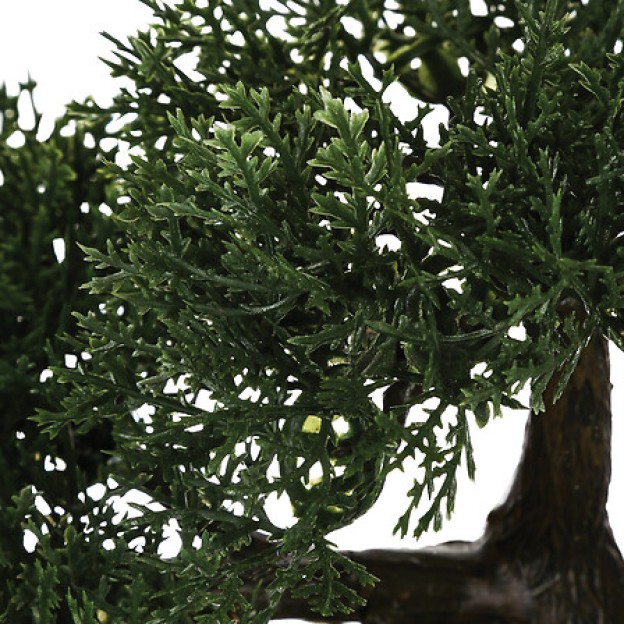 Bonsai cu ghiveci H36