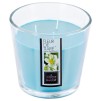 Lumânare aromatizată TIARE 500G