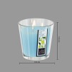 Lumânare aromatizată TIARE 500G