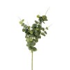 Floare decorativă