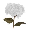 Compoziție florală HORTENSIA SERATA H83