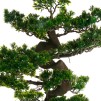 Plantă artificială BONSAI H80