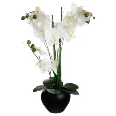 Compoziti florală ALINI H53
