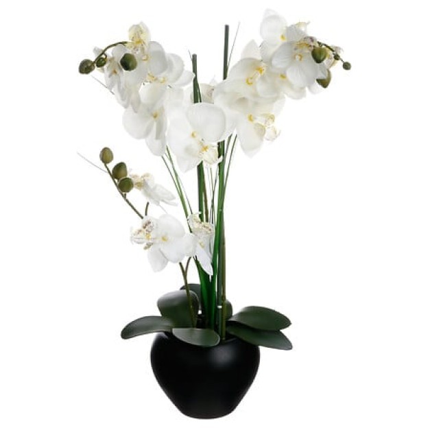 Compoziti florală ALINI H53