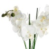 Compoziti florală ALINI H53