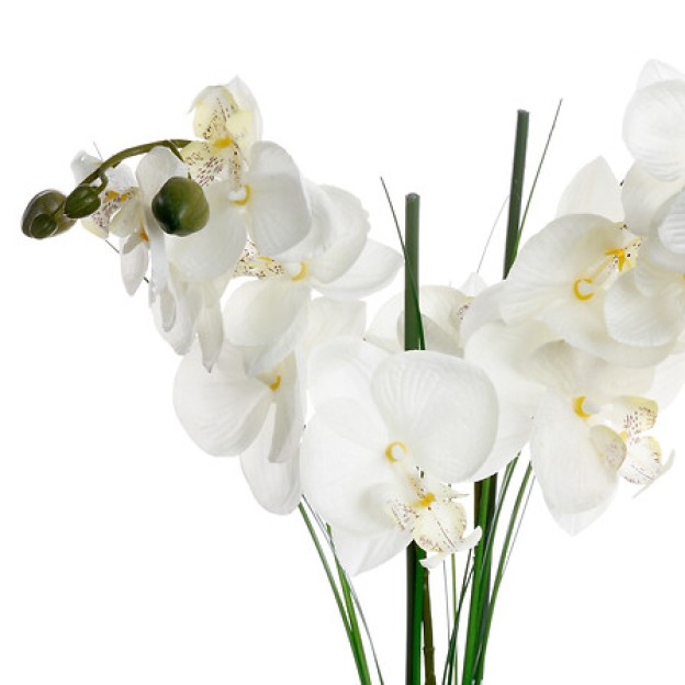 Compoziti florală ALINI H53