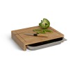 Tocator TRAY 35X28