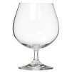 Pahar cognac CRI
