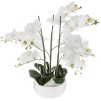 Orhidee WHITE H65