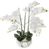 Orhidee MARBLE H65