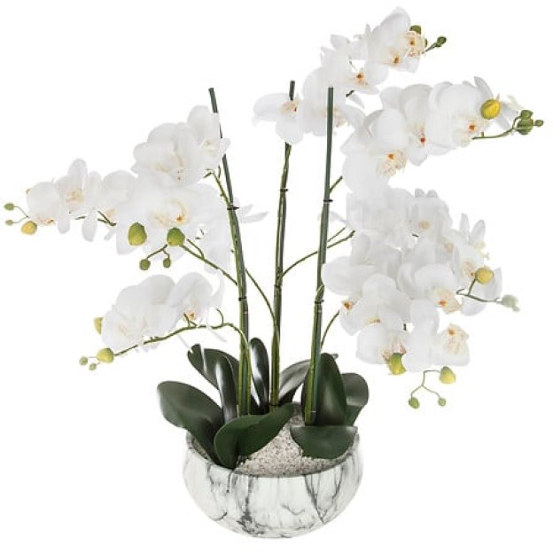 Orhidee MARBLE H65