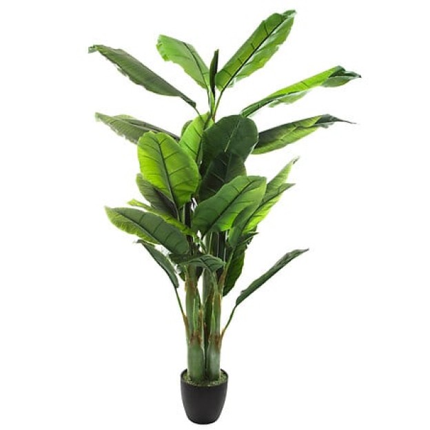 Planta artificiala in ghiveci  BANANIER H 170