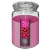 Lumânare parfumată NINA 510G
