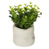 Plantă artificială H14 HERBE