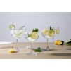 Стекло VERRE GINX4 70 CL
