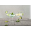 Стекло VERRE GINX4 70 CL