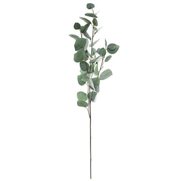 Ветка EUCALYPTUS H 97