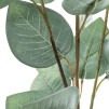 Ветка EUCALYPTUS H 97