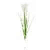 Floare decorativă
