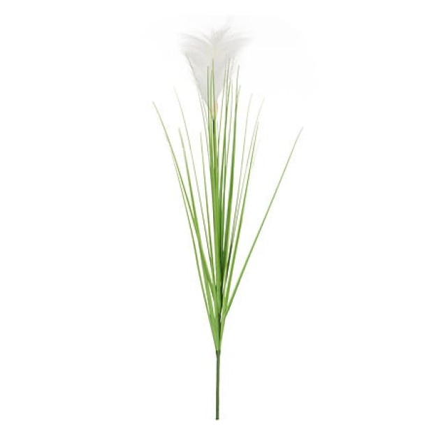 Floare decorativă
