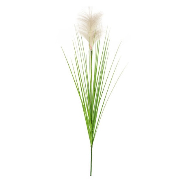Floare decorativă