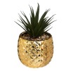 Compoziție florală PINEAPPLE H22