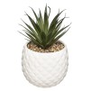Compoziție florală PINEAPPLE H22