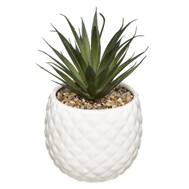 Compoziție florală PINEAPPLE H22