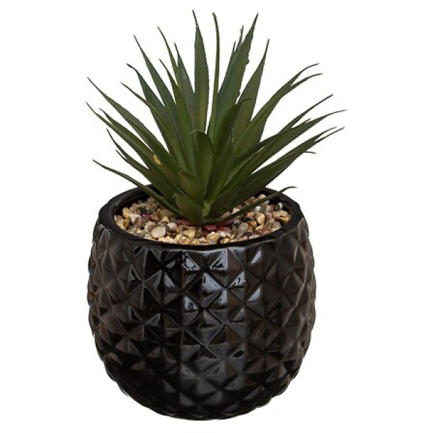 Compoziție florală PINEAPPLE H22