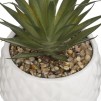 Compoziție florală PINEAPPLE H22