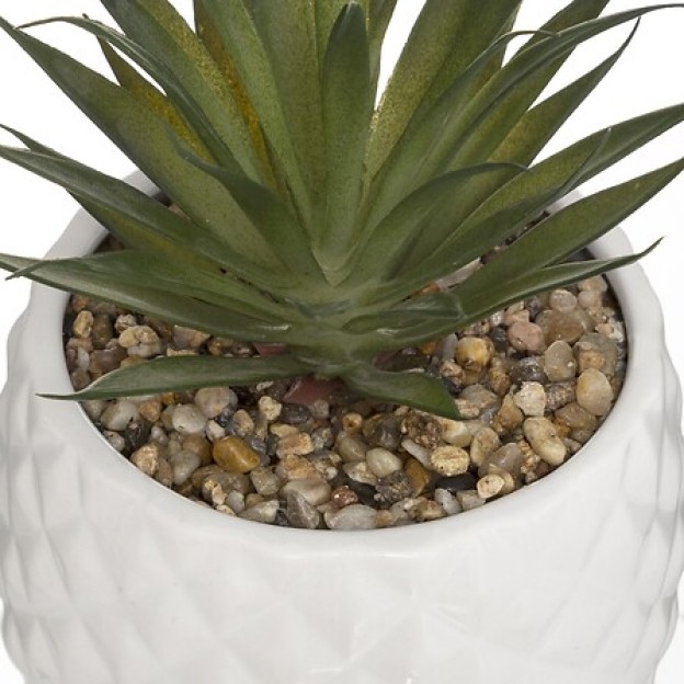 Compoziție florală PINEAPPLE H22