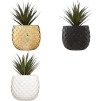 Compoziție florală PINEAPPLE H22